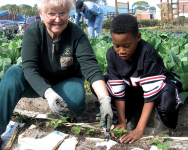 Community Gardens Made Safer From Invisible Toxic Lead